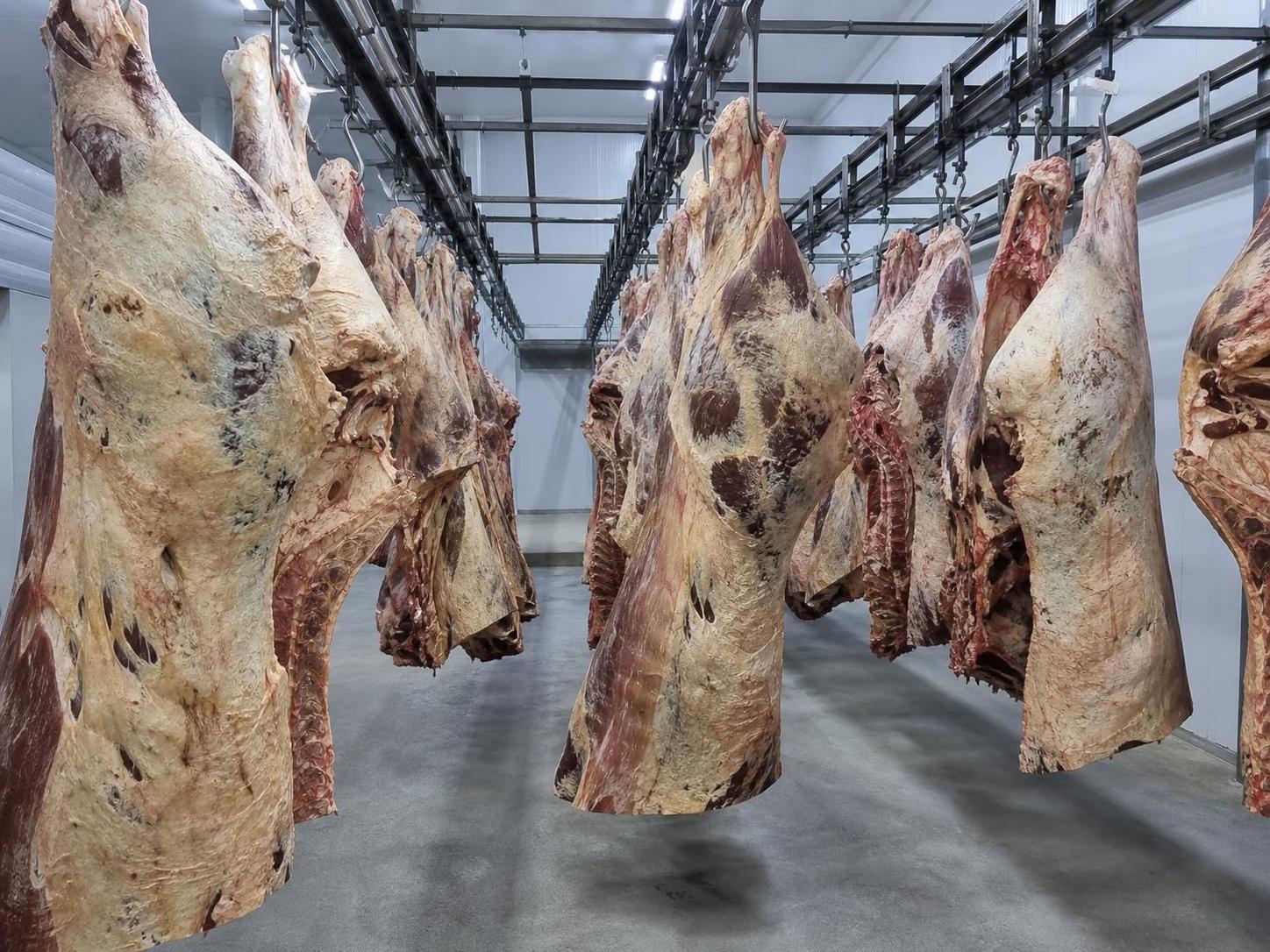 Troceo y desposte de carne vacuna